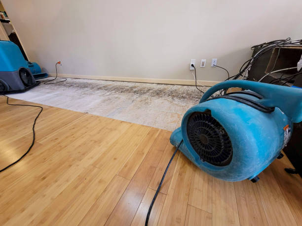 Professional Basement Flood Cleanup technician working in Damascus, MD